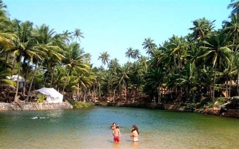 cola beach goa.